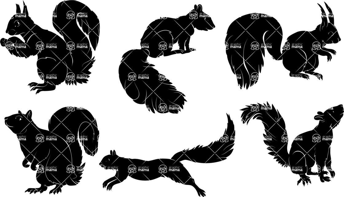Vector silhouettes - Vector Squirrel Silhouettes Set